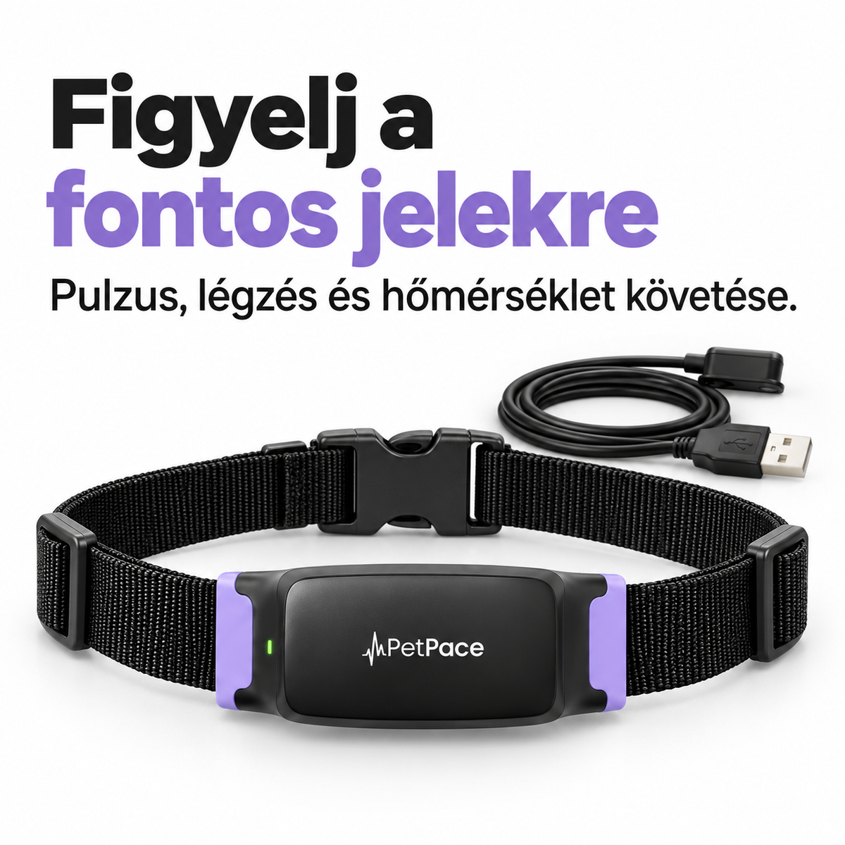 Okos nyakörv kutyáknak – Aktivitás- és alváskövetés, alkalmazásos állapotfigyelés és állítható pánt