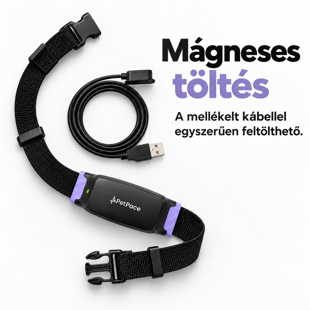Okos nyakörv kutyáknak – Aktivitás- és alváskövetés, alkalmazásos állapotfigyelés és állítható pánt