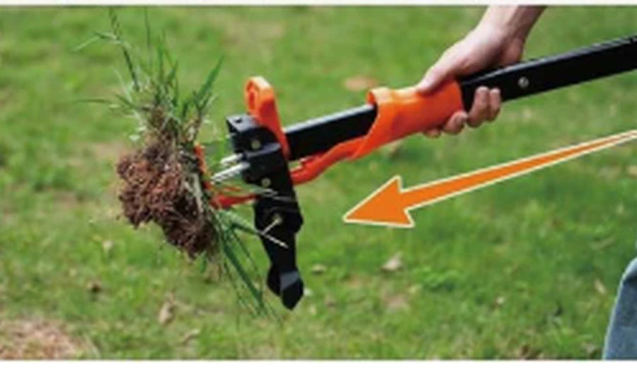 Step three lift the weed
